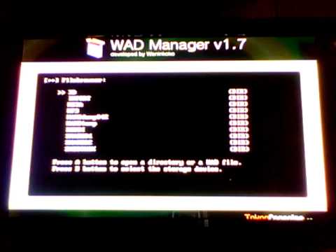 wii how to install dvdx